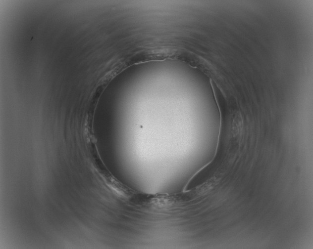 X0000067840764200604201241