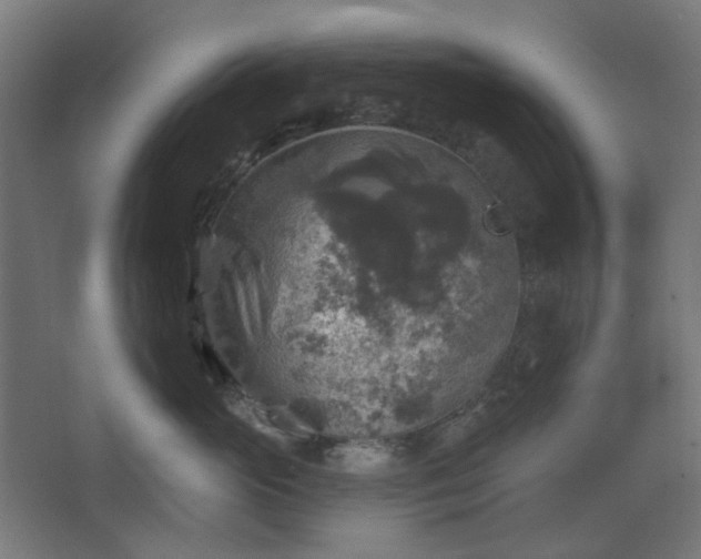 X0000067840765200604201241