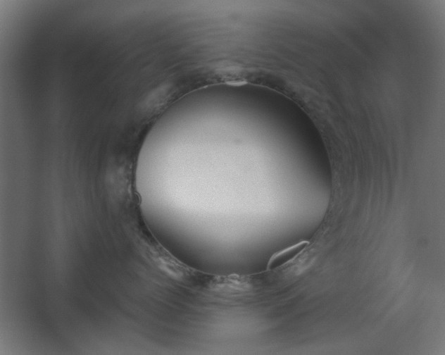 X0000067840768200604201241