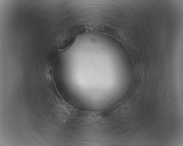 X0000067840770200604201240