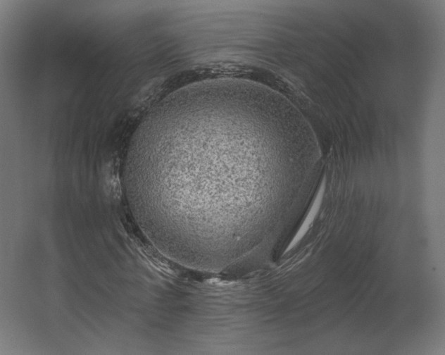 X0000067840771200604201240