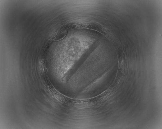 X0000067840772200604201240