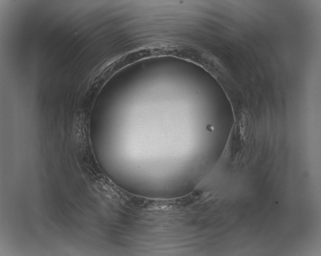 X0000067840773200604201240