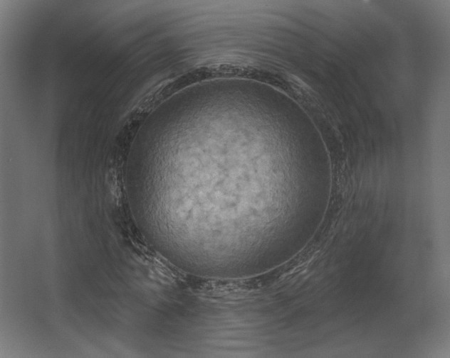 X0000067840774200604201240