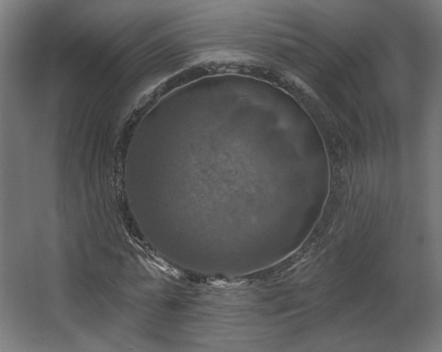 X0000067840775200604201240