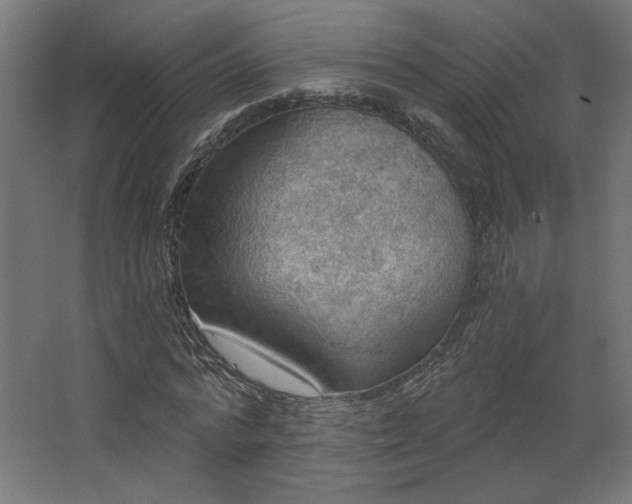 X0000067840776200604201240