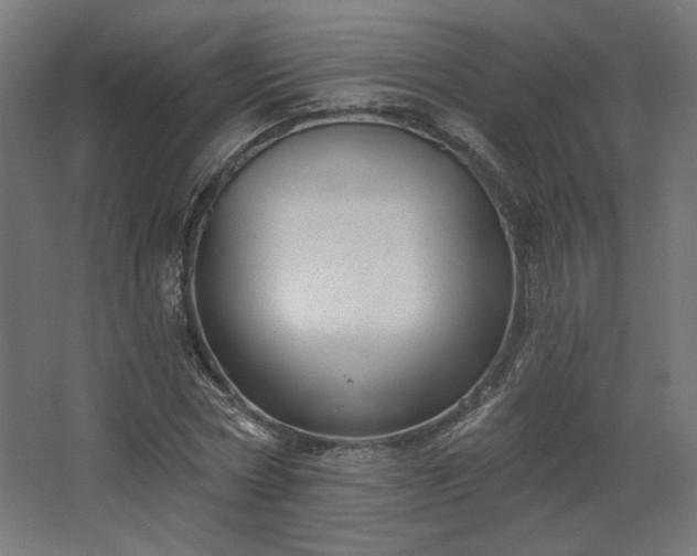 X0000067840778200604201240