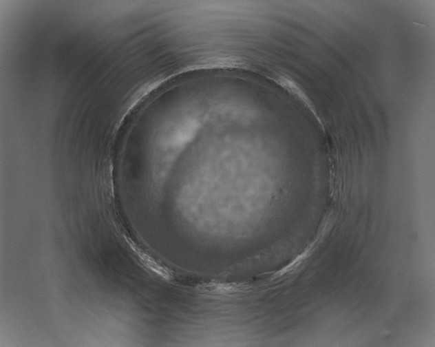 X0000067840781200604201240