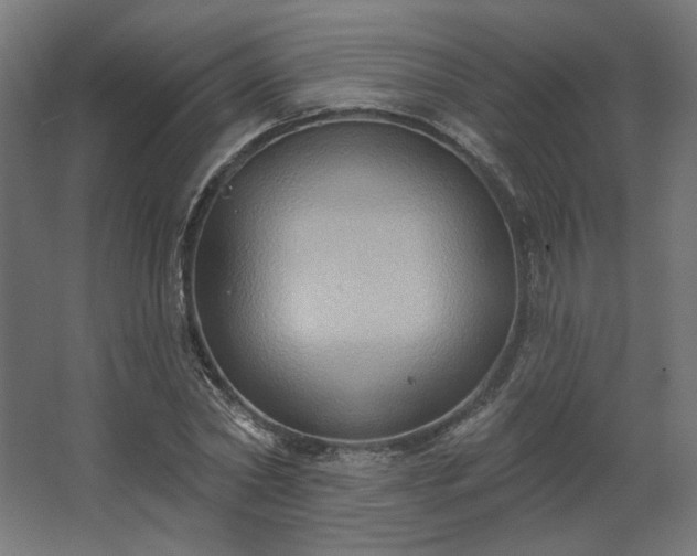 X0000067840782200604201240