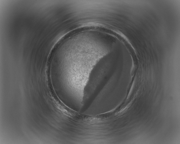 X0000067840783200604201240