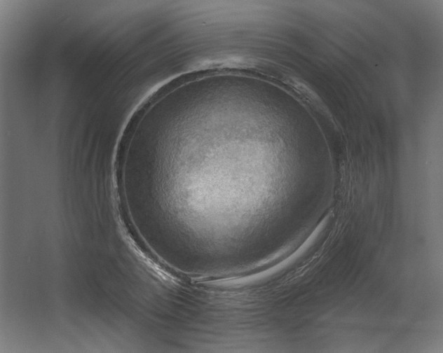 X0000067840784200604201240