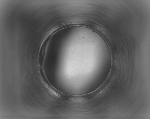 X0000067840786200604201240