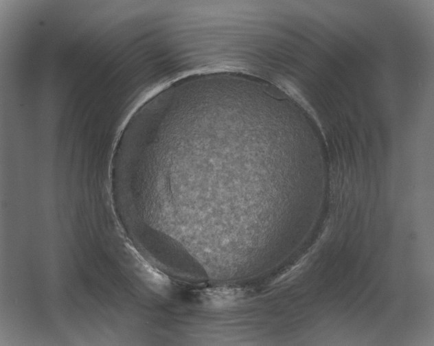 X0000067840789200604201240