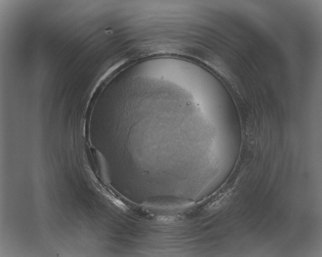 X0000067840790200604201240