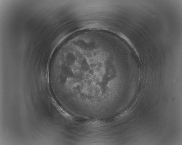 X0000067840791200604201240