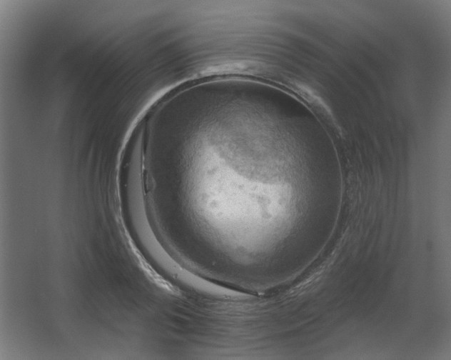 X0000067840792200604201240