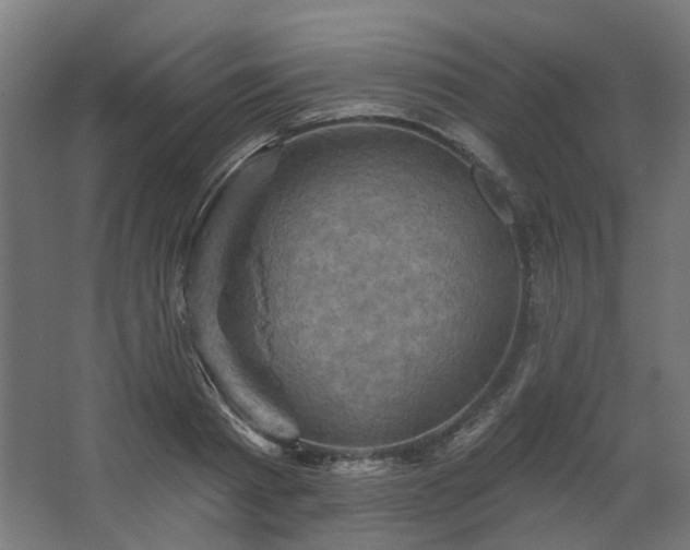 X0000067840793200604201240