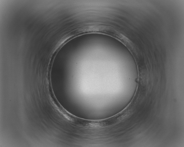 X0000067840794200604201240