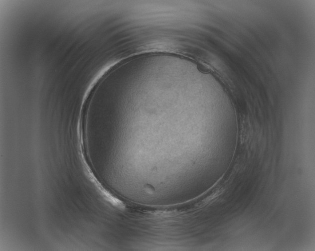 X0000067840796200604201240