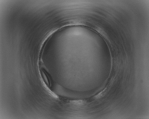 X0000067840797200604201240