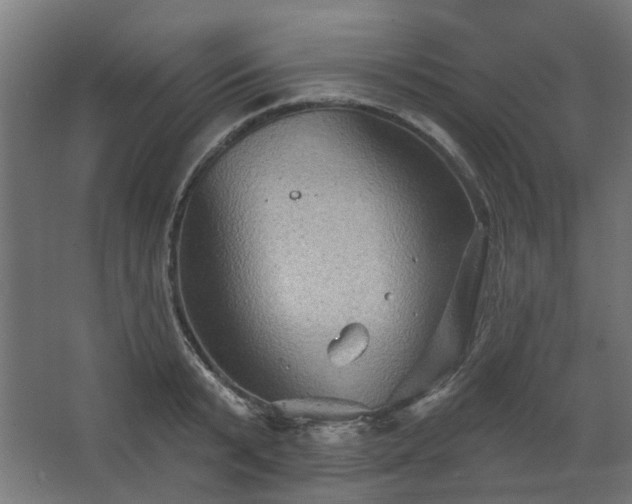 X0000067840799200604201240