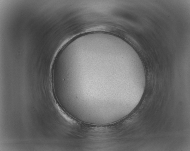 X0000067840800200604201240