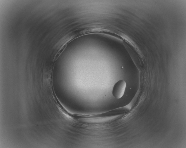 X0000067840801200604201240