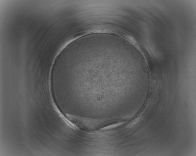 X0000067840803200604201240