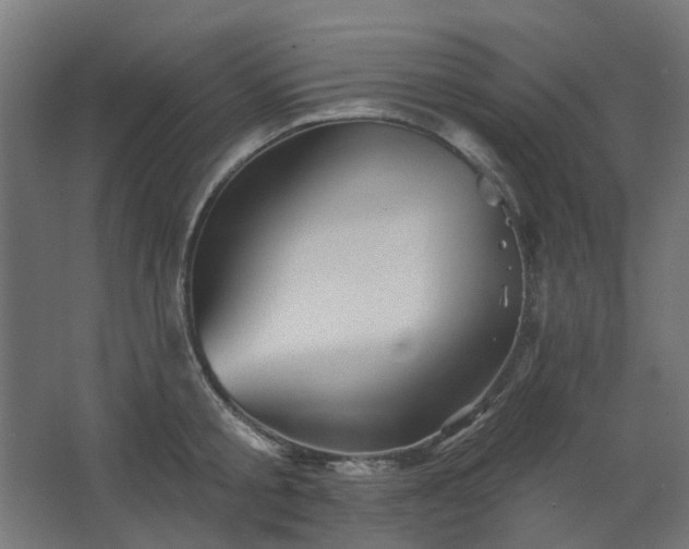 X0000067840805200604201240