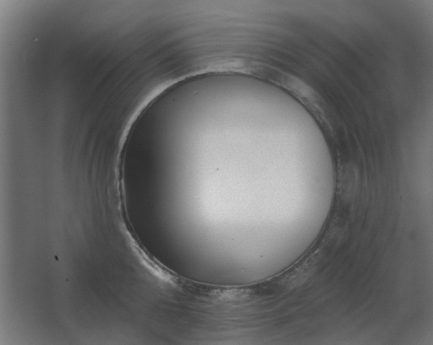 X0000067840808200604201240