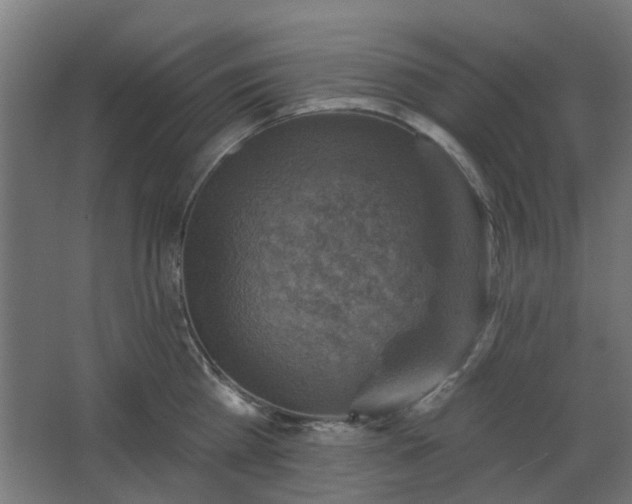 X0000067840809200604201240