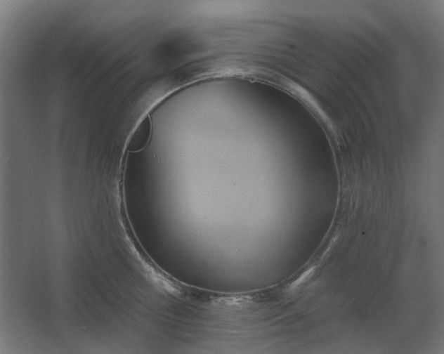 X0000067840810200604201240