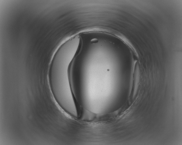 X0000067840813200604201240