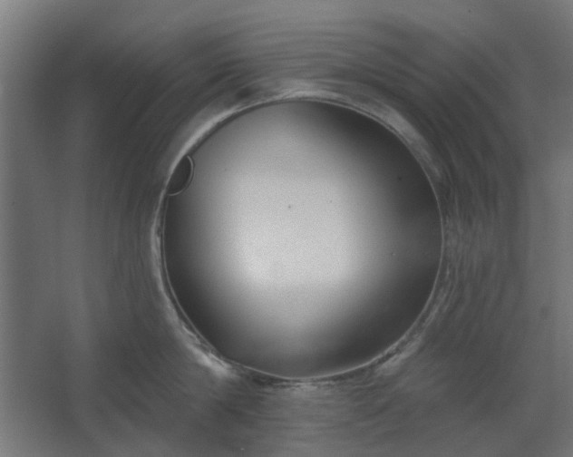 X0000067840814200604201240