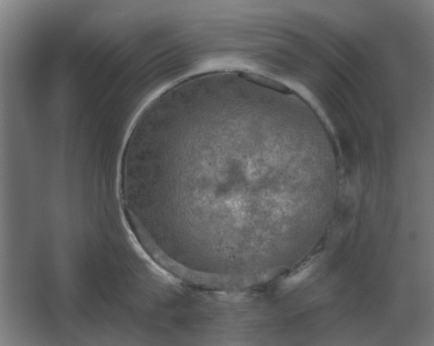 X0000067840815200604201240