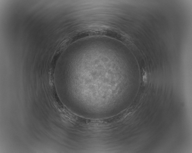 X0000067840819200604201239