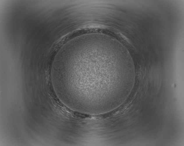 X0000067840821200604201239