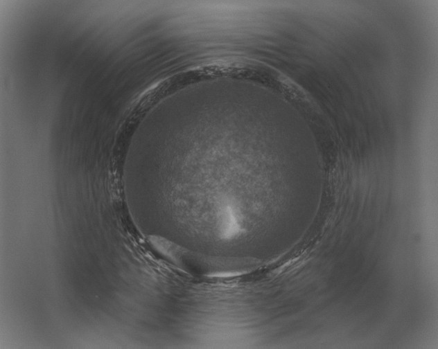 X0000067840822200604201239