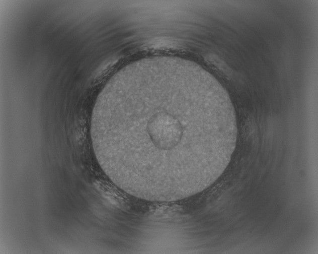 X0000067840824200604201239