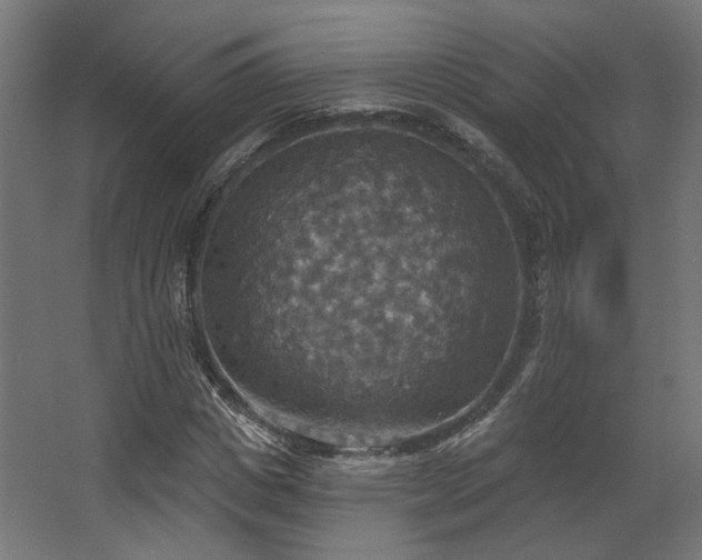 X0000067840825200604201239