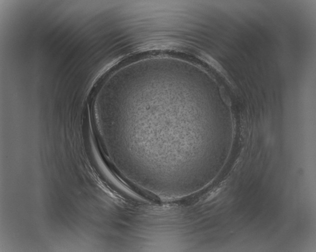 X0000067840826200604201239