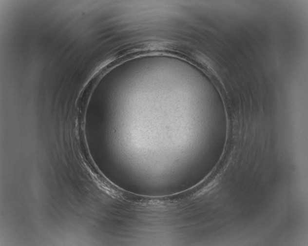 X0000067840827200604201239