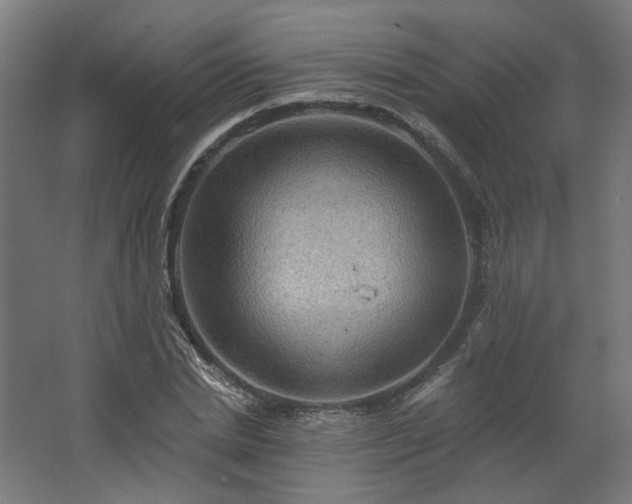 X0000067840830200604201239