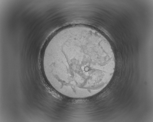 X0000067840832200604201239