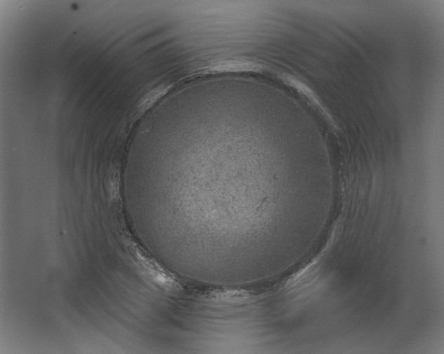 X0000067840833200604201239