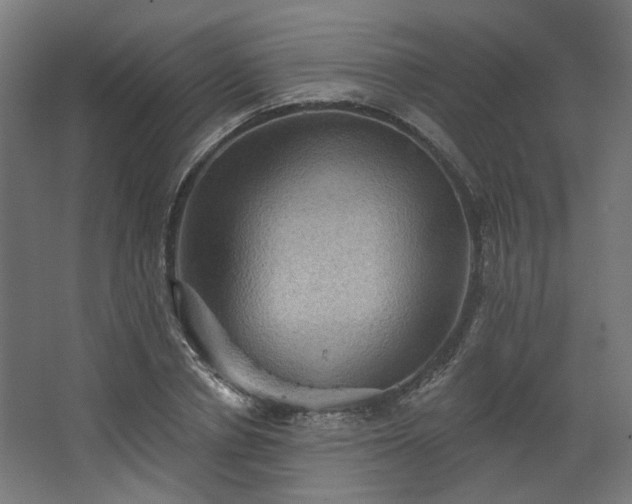 X0000067840834200604201239