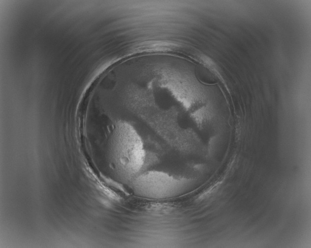 X0000067840835200604201239