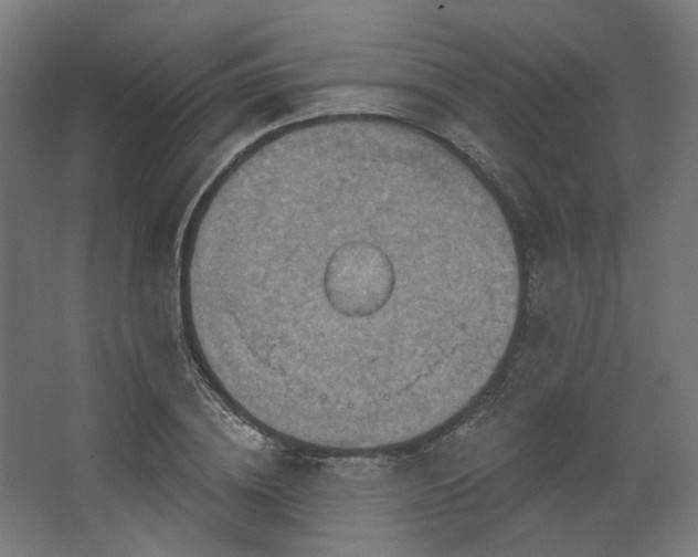 X0000067840836200604201239