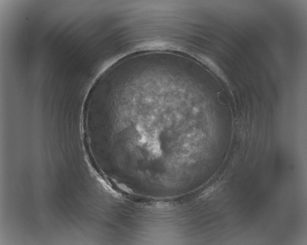 X0000067840839200604201239