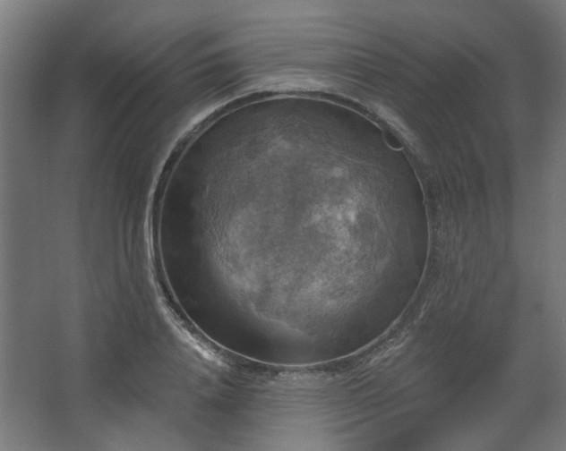 X0000067840840200604201239